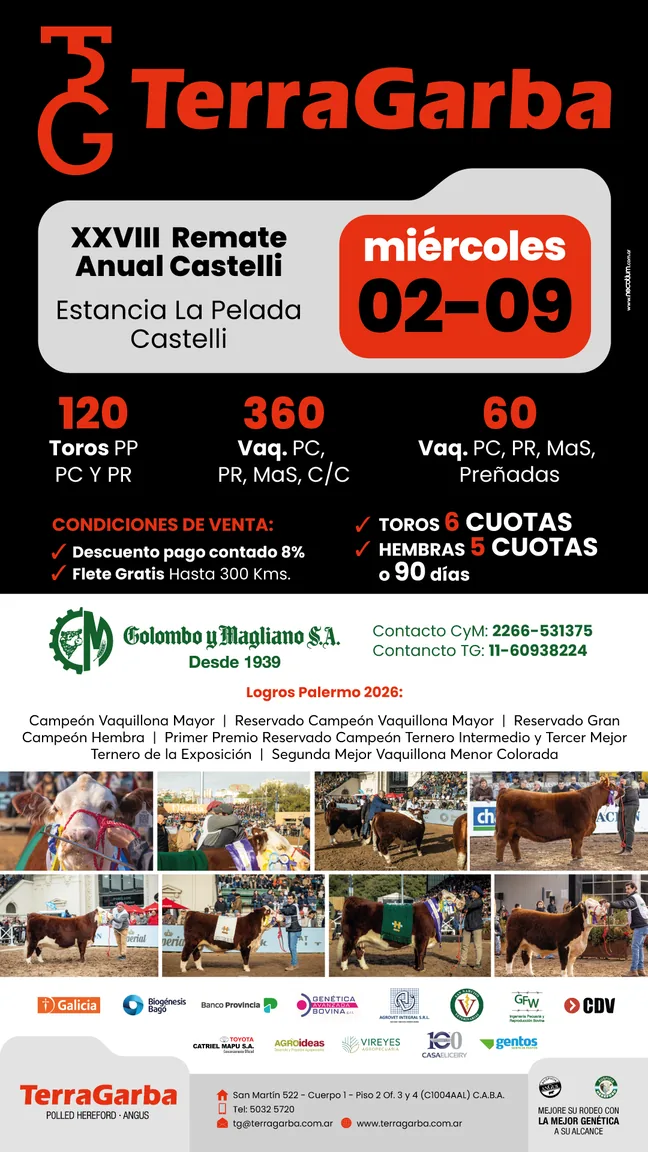 XXVIII Remate Anual Castelli — TerraGarba